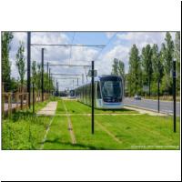 2023-07-06 T10 Jardin Parisien 1013 03.jpg